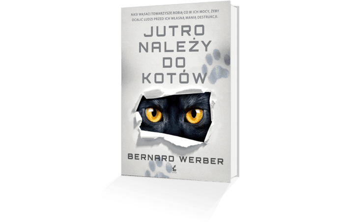 jutro nalezy do kotow